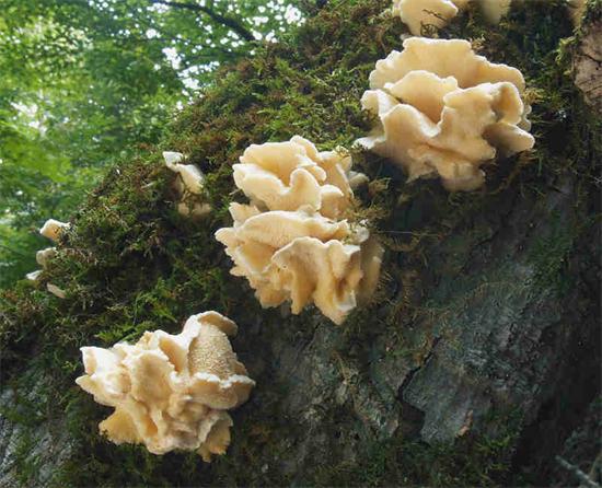 圖片關鍵詞 圖片關鍵詞