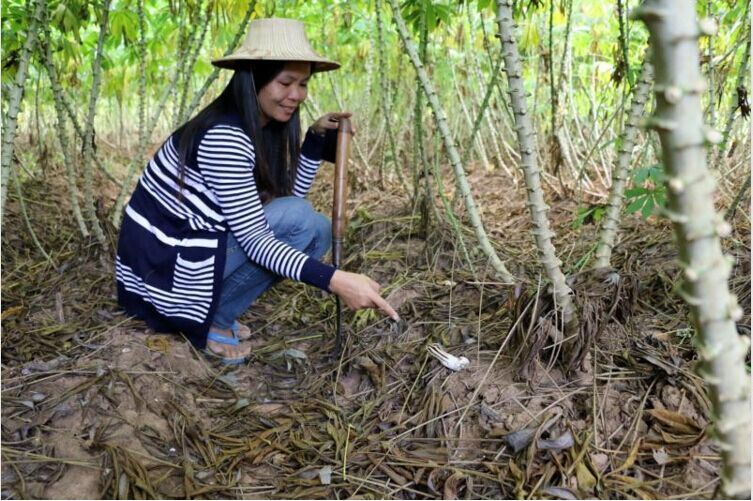 圖片關(guān)鍵詞 圖片關(guān)鍵詞