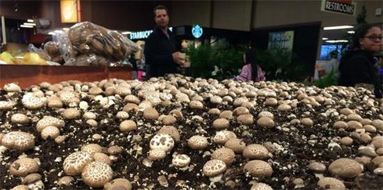 圖片關鍵詞 圖片關鍵詞