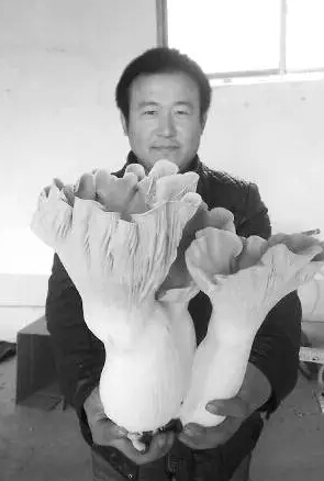 圖片關(guān)鍵詞 圖片關(guān)鍵詞