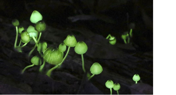 圖片關(guān)鍵詞 圖片關(guān)鍵詞