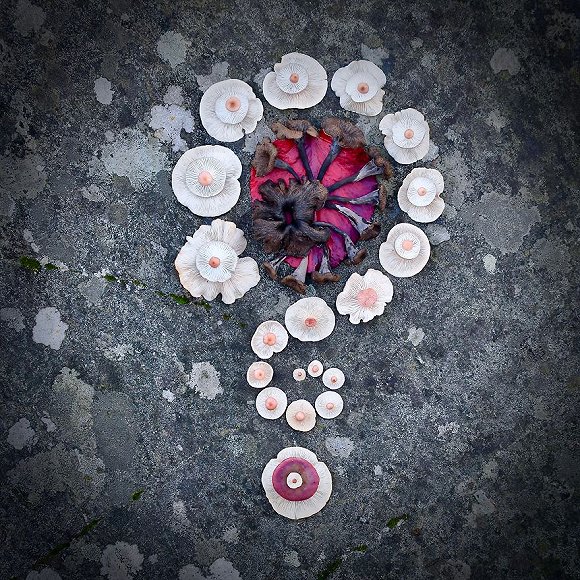 圖片關(guān)鍵詞 http://img1.jiemian.com/jiemian/original/20171123/151141526673138600_a580xH.jpg