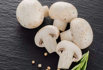 圖片關鍵詞 圖片關鍵詞