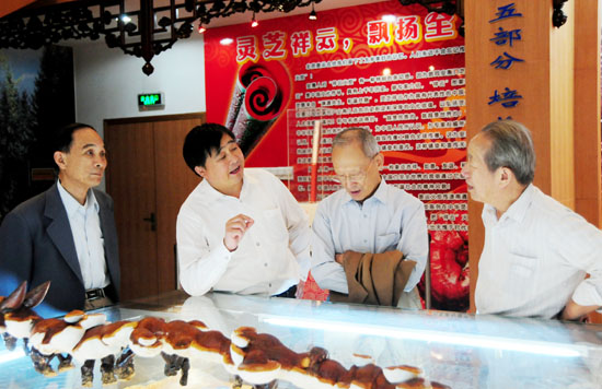 圖片關鍵詞 圖片關鍵詞