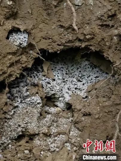 圖片關鍵詞 圖片關鍵詞