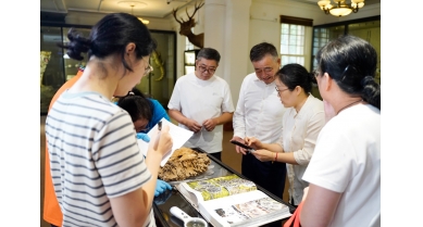 專(zhuān)題報(bào)道